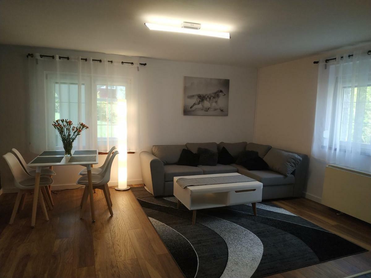 Villa Lupus - Apartament Z Prywatna Sauna 스클라르스카포렘바 외부 사진